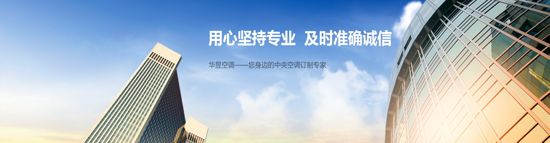 寡二少双网